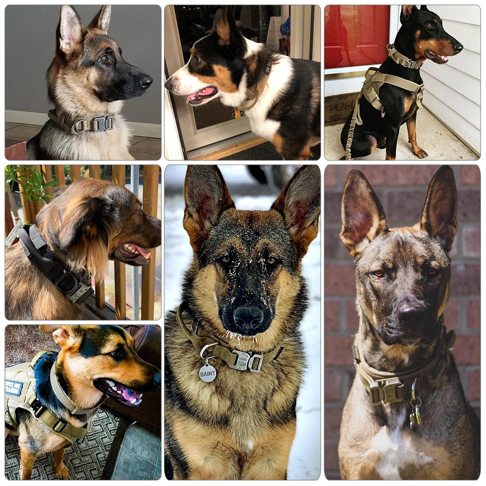 Adjustable Dog Training Collar