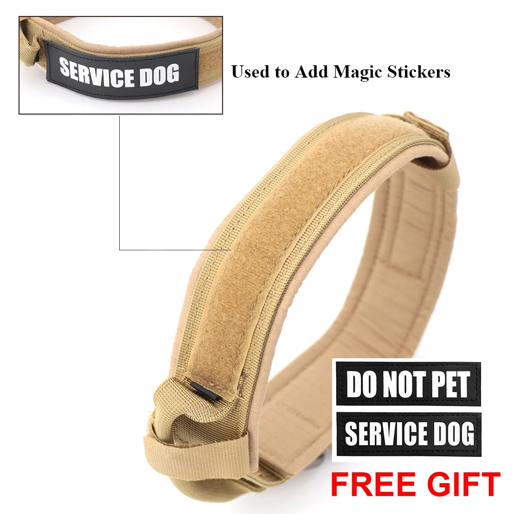 Adjustable Dog Training Collar