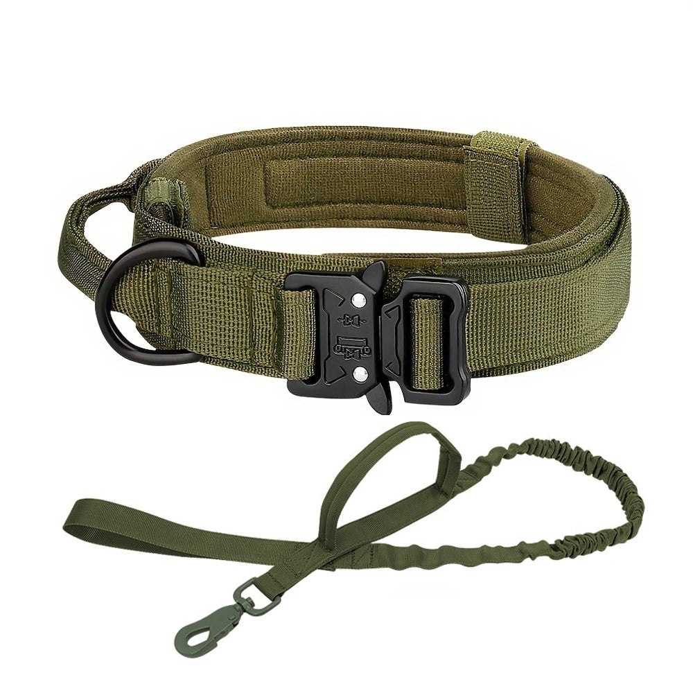 Adjustable Dog Training Collar