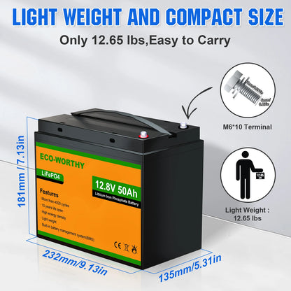 Trolling Motor Battery