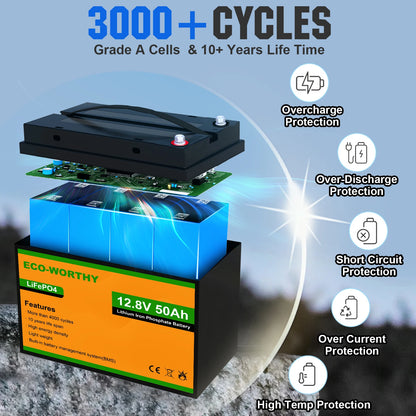 Trolling Motor Battery