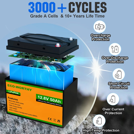 Trolling Motor Battery