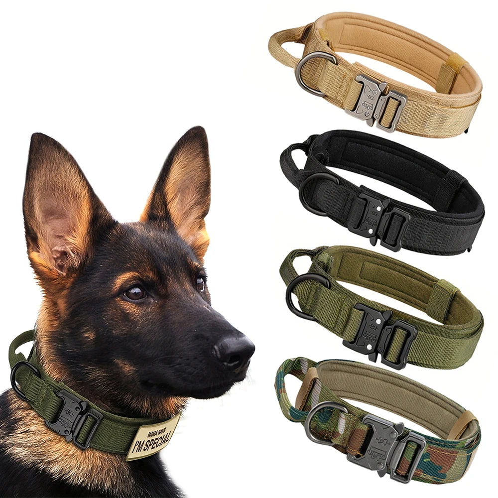 Adjustable Dog Training Collar