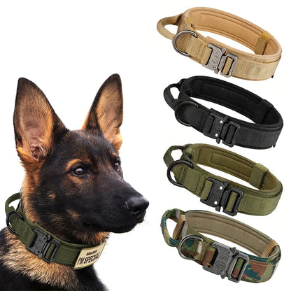 Adjustable Dog Training Collar