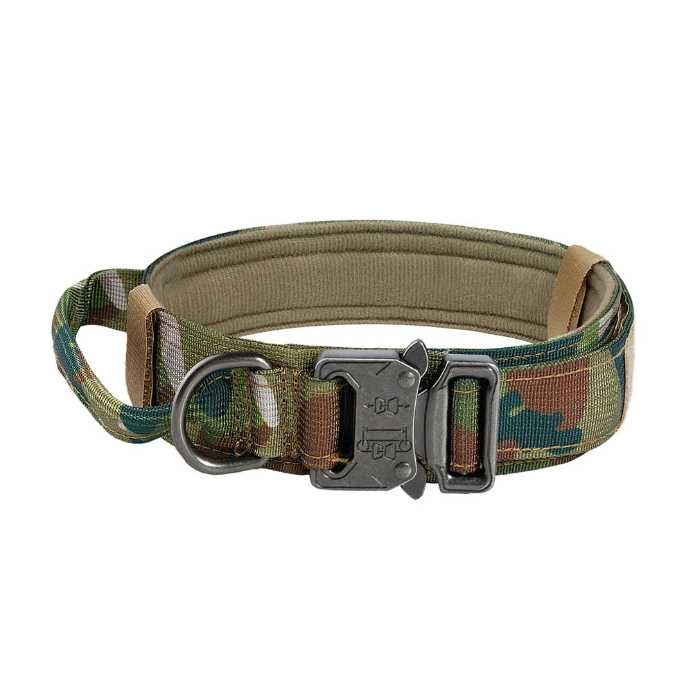 Adjustable Dog Training Collar