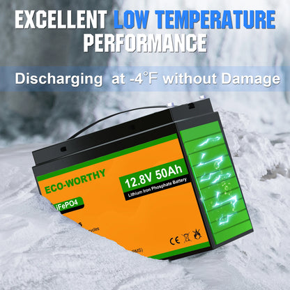 Trolling Motor Battery