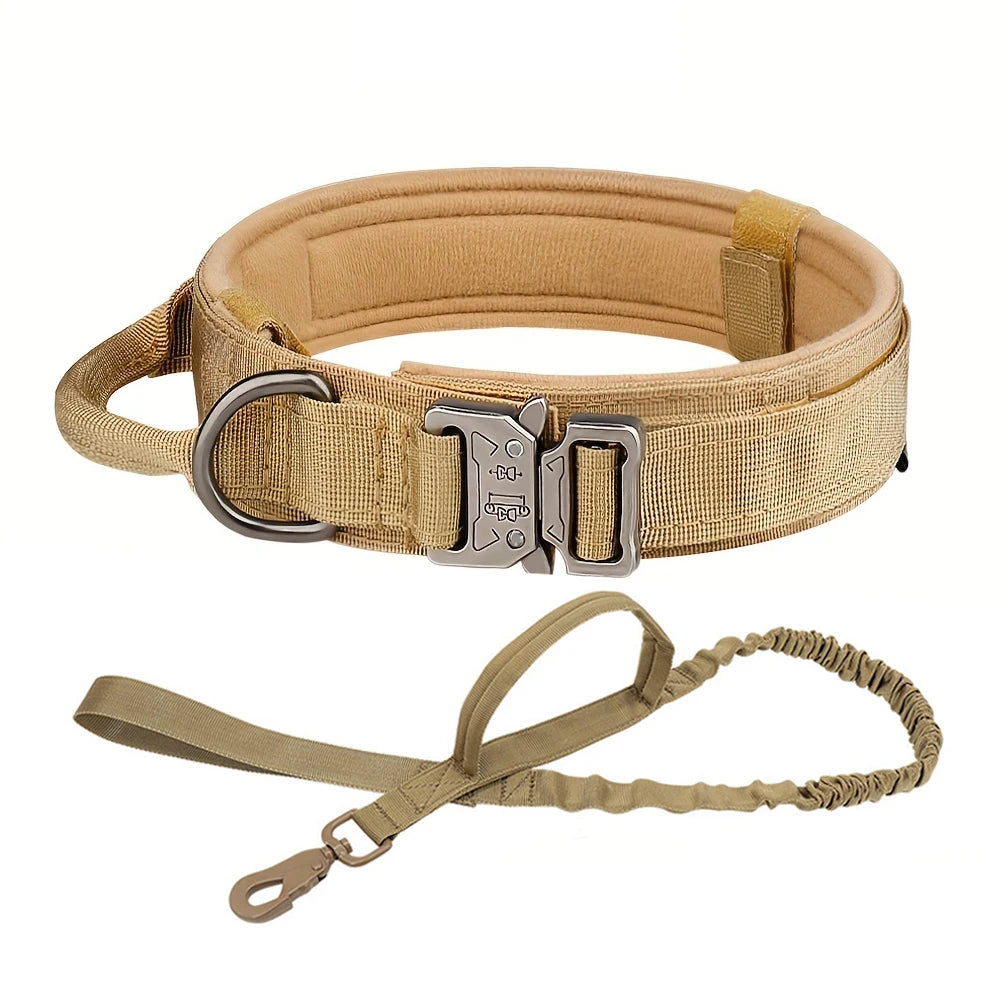 Adjustable Dog Training Collar