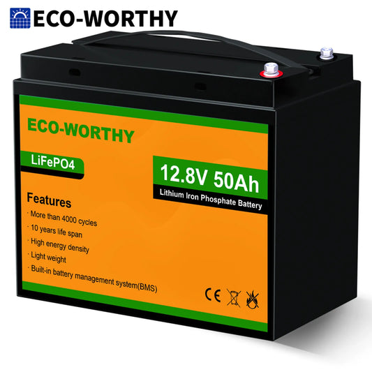 Trolling Motor Battery