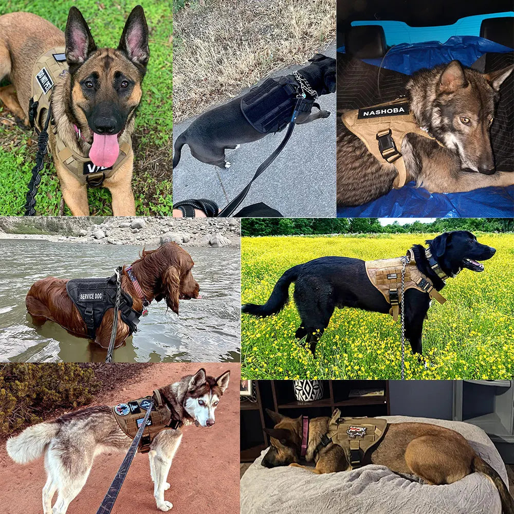 Tactical Dog Harness Leash Set